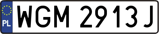 WGM2913J