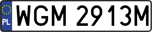 WGM2913M