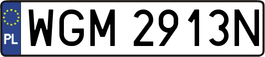 WGM2913N