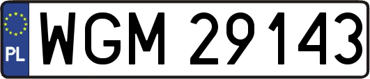 WGM29143