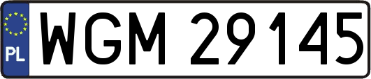 WGM29145