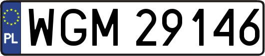 WGM29146