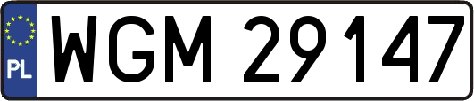 WGM29147