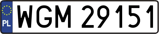 WGM29151