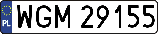WGM29155
