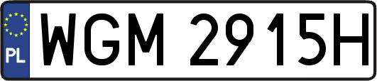 WGM2915H