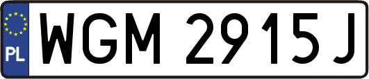 WGM2915J