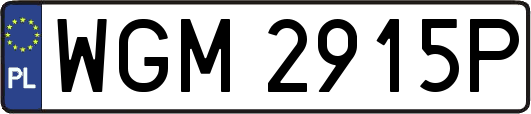WGM2915P