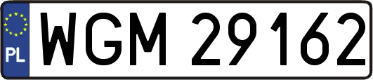 WGM29162