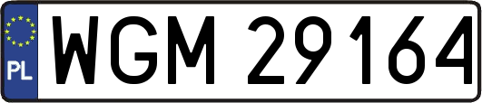 WGM29164