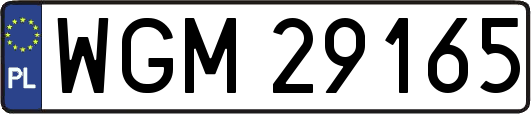 WGM29165