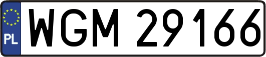 WGM29166