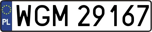 WGM29167
