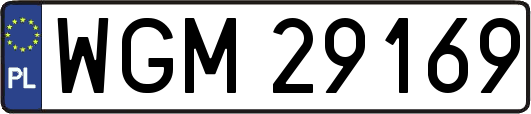 WGM29169