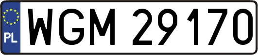 WGM29170