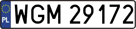 WGM29172