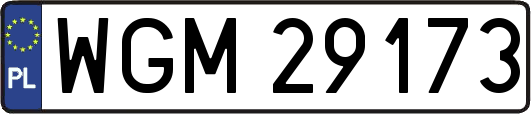 WGM29173