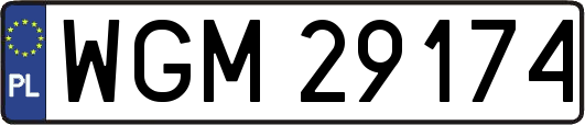 WGM29174
