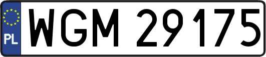 WGM29175