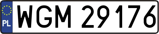 WGM29176