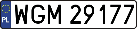 WGM29177