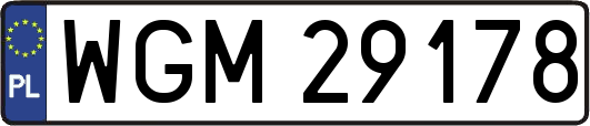 WGM29178