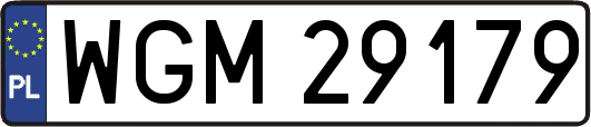 WGM29179