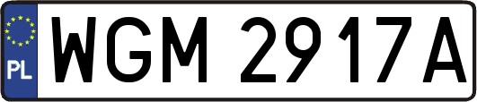 WGM2917A