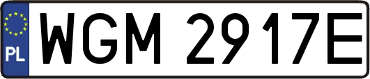 WGM2917E