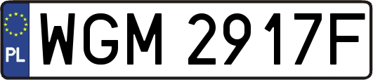 WGM2917F