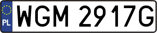 WGM2917G