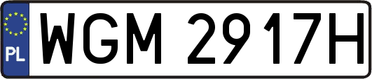 WGM2917H