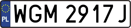 WGM2917J