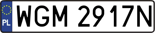 WGM2917N