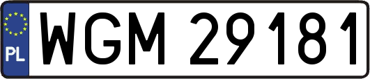 WGM29181