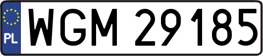 WGM29185