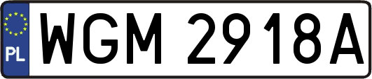 WGM2918A