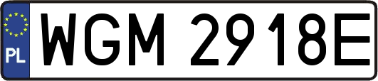 WGM2918E