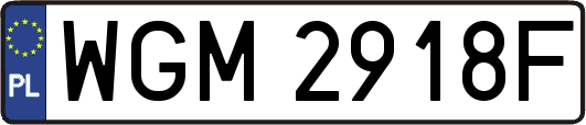 WGM2918F