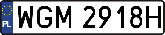WGM2918H