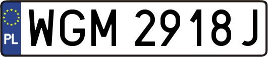 WGM2918J