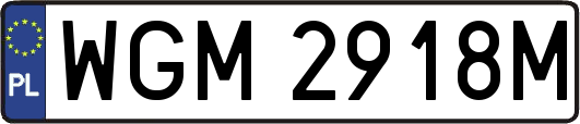 WGM2918M