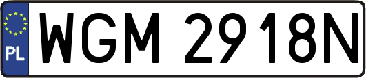 WGM2918N
