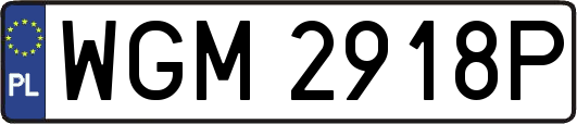 WGM2918P