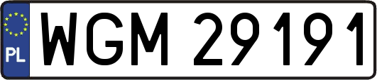 WGM29191