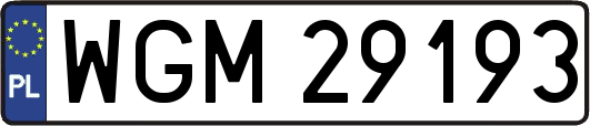 WGM29193