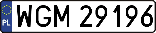 WGM29196