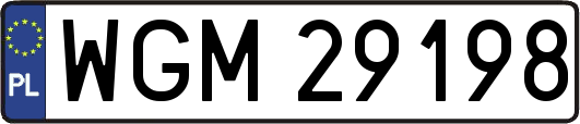 WGM29198