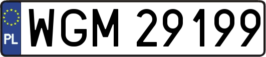 WGM29199