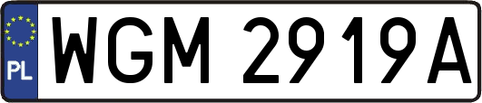 WGM2919A
